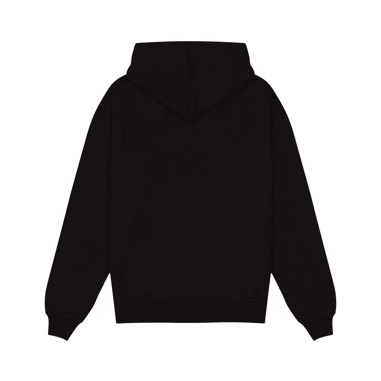 Unisex Oversized Heavyweight Hoodie